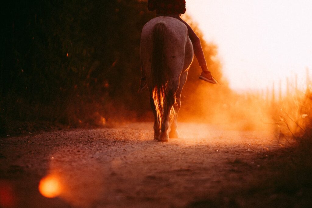 Person riding a horse at sunset.